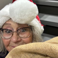 Anne Morgan, Caribou Hotel